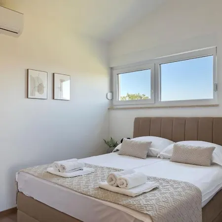 Vila Modern Zara With Pool In Visnjan Radossi