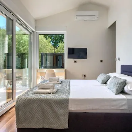 Modern Zara With Pool In Visnjan *