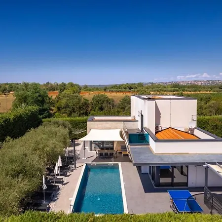 Modern Zara With Pool In Visnjan Radossi
